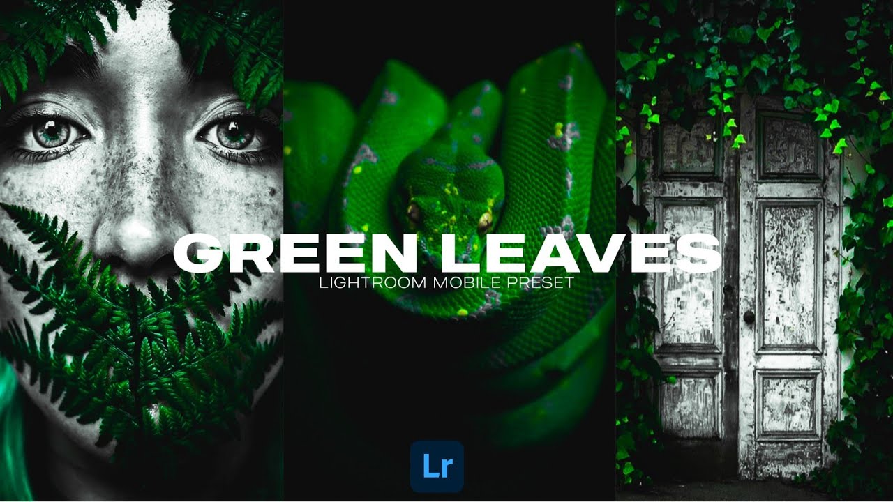 极具冲击视觉的绿色植物动物Lr调色，手机滤镜Lightroom+PS预设下载！ — Lr资源网