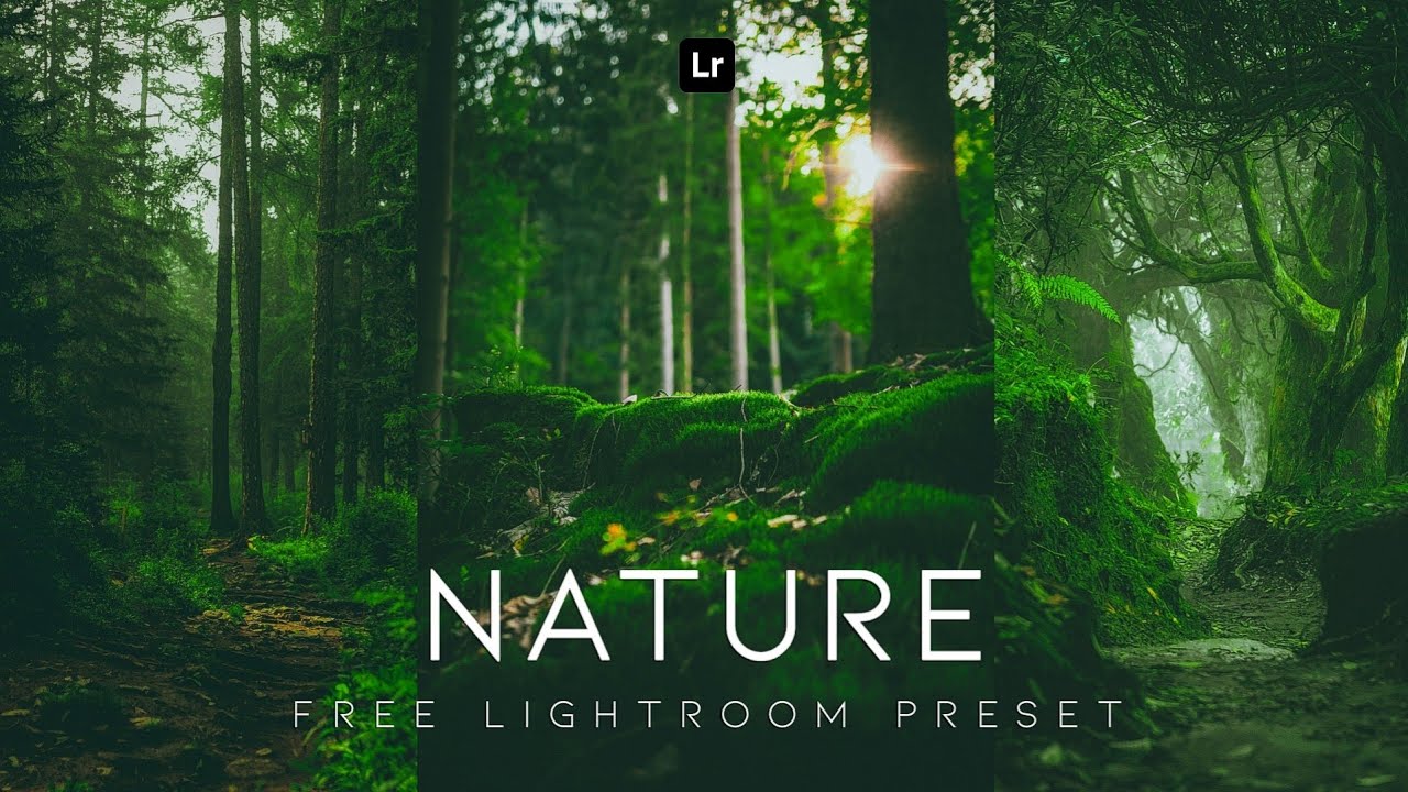 绿色森林摄影Lr调色教程，附手机滤镜Lightroom+PS预设下载！ — Lr资源网